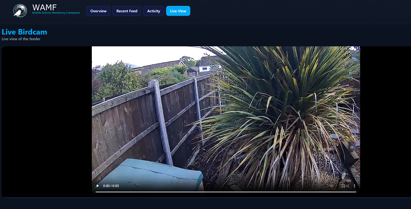 WAMF v0.4.0 Live View